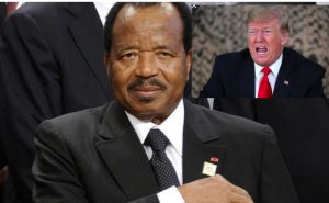 Article : Hypocrisie, larmes de crocodile des États-Unis et compagnie sur le conflit au Cameroun
